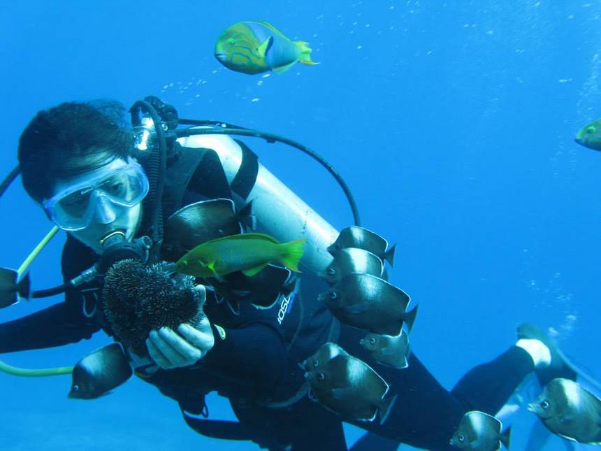 Fotografía 10 de Snorkeling y buceo personalizado en Rapa Nui en Isla De Pascua, Valparaiso