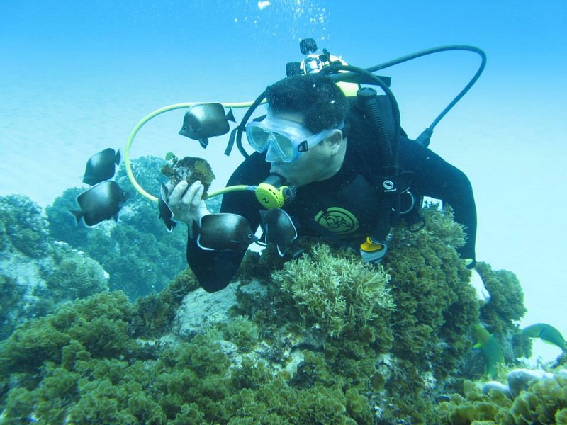 Fotografía 9 de Snorkeling y buceo personalizado en Rapa Nui en Isla De Pascua, Valparaiso