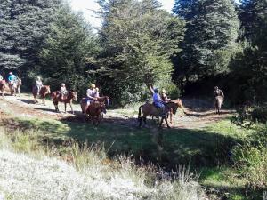 Cabalgatas El Chimango en Aysen, Aysen