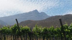 Tour a Hacienda Arriba, Valle Cogoti en Combarbala, Coquimbo