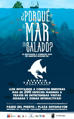 Acuario Valparaiso, un mundo por explorar en Valparaiso, Valparaiso