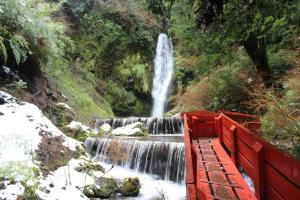 Termas Geomítricas en Villarrica, Araucania