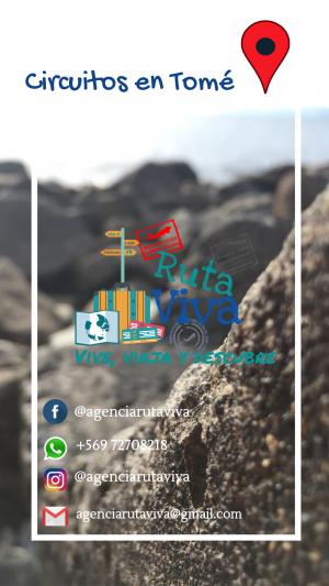 Viaja con Agencia Ruta Viva en Tome, Bio Bio
