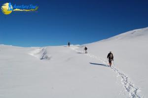 Trekking Volcín Mocho Choshuenco - 30% Descuento hasta Noviembre 2018 en Panguipulli, Los Rios