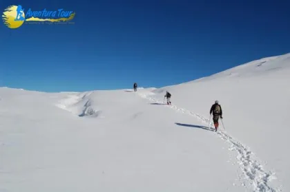 Trekking Volcín Mocho Choshuenco - 30% Descuento hasta Noviembre 2018