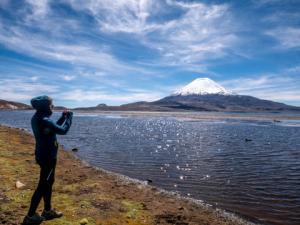 Tour en el Parque Nacional Lauca dos días. en Arica, Arica Y Parinacota