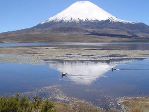 Excursiones en el Norte Grande en Arica, Arica Y Parinacota