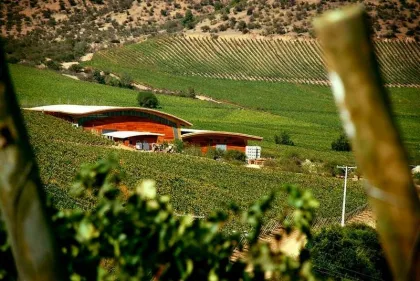 Tours en Viña Chocalín, desgustacion de vinos