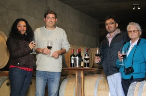 Ruta del Vino en Valle Limari en La Serena, Coquimbo