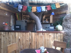 Alimentación en Vicuña en Vicuña, Coquimbo