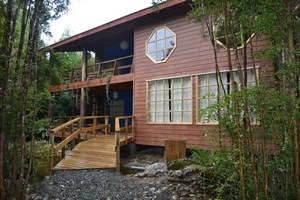 Atma Bosque, Bienestar en el medio del bosque en Puerto Montt, Los Lagos