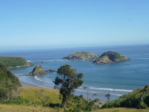Excursiones Pinguineras Chiloí en Ancud, Los Lagos