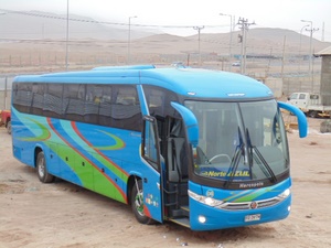 Servicio de Transporte de Personal y Turismo en Arica en Arica, Arica Y Parinacota