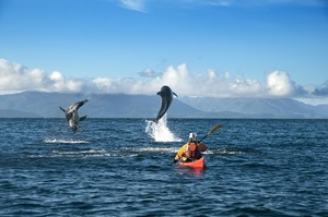 Tours excursiones magellan strait Punta Arenas chile Estrecho de Magallanes Pata en Punta Arenas, Magallanes