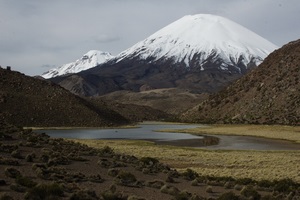 Tour Lago Chungara en Arica, Arica Y Parinacota