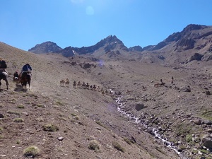 Cabalgatas Cordillera de Los Andes V región en Viña Del Mar, Valparaiso