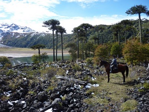 Fundo Laguna Blanca en Curacautin, Araucania