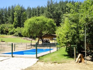 Camping Entre Pinos - Curepto Talca  en Curepto, Maule