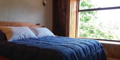 Cabañas en Choshuenco