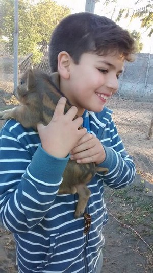 Entre la Naturaleza y los Animales en Quillon, Bio Bio