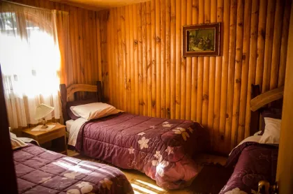 Cabañas Mis Viejos Paguipulli