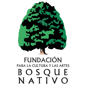 Galería de Arte Bosque Nativo en Puerto Varas, Los Lagos