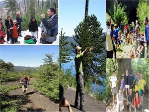 Ecoturismo en Curacautin en Curacautin, Araucania