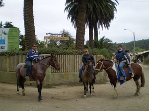 Hotel Los Caulles en Constitucion, Maule
