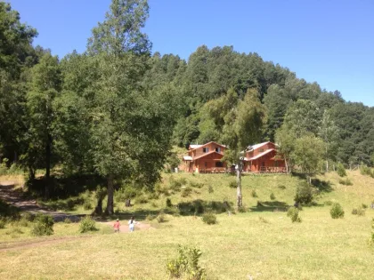 Cabañas Choshuenco Los Ulmos
