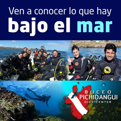 Buceo Pichidangui
