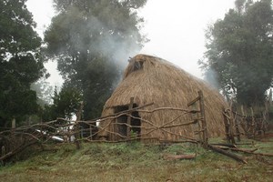 Hospedaje en el Lago Budi en Saavedra, Araucania