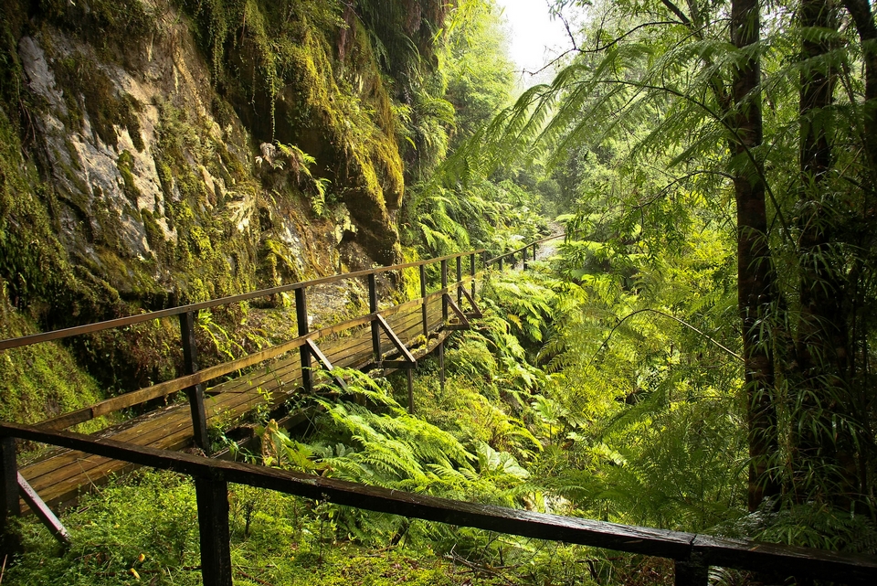 PARQUE NACIONAL ALERCE ANDINO Atractivo Tur stico De Chile