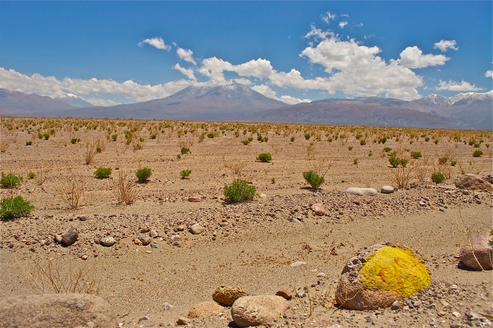 Ayquina
