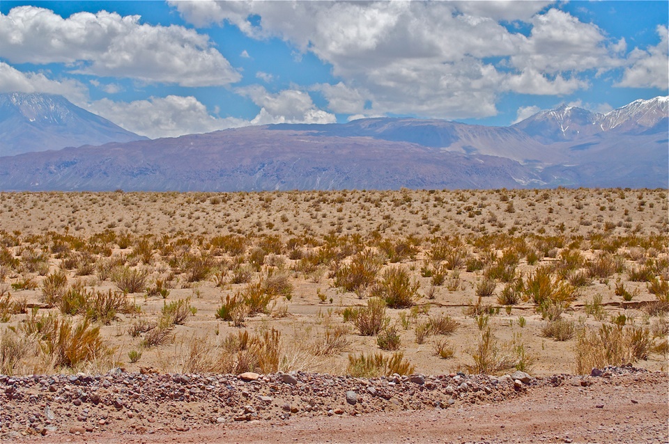 Ayquina