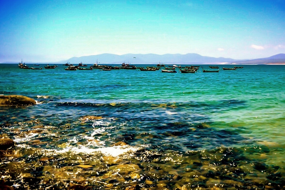 Guanaqueros Y Tongoy