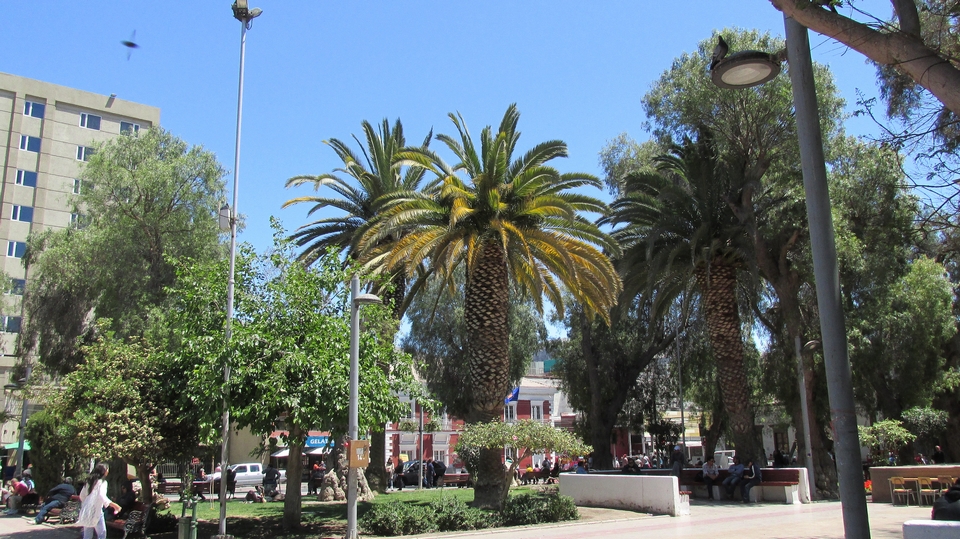 Copiapo