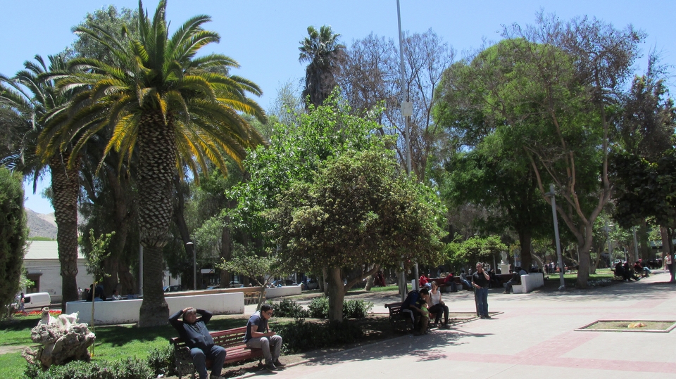 Copiapo