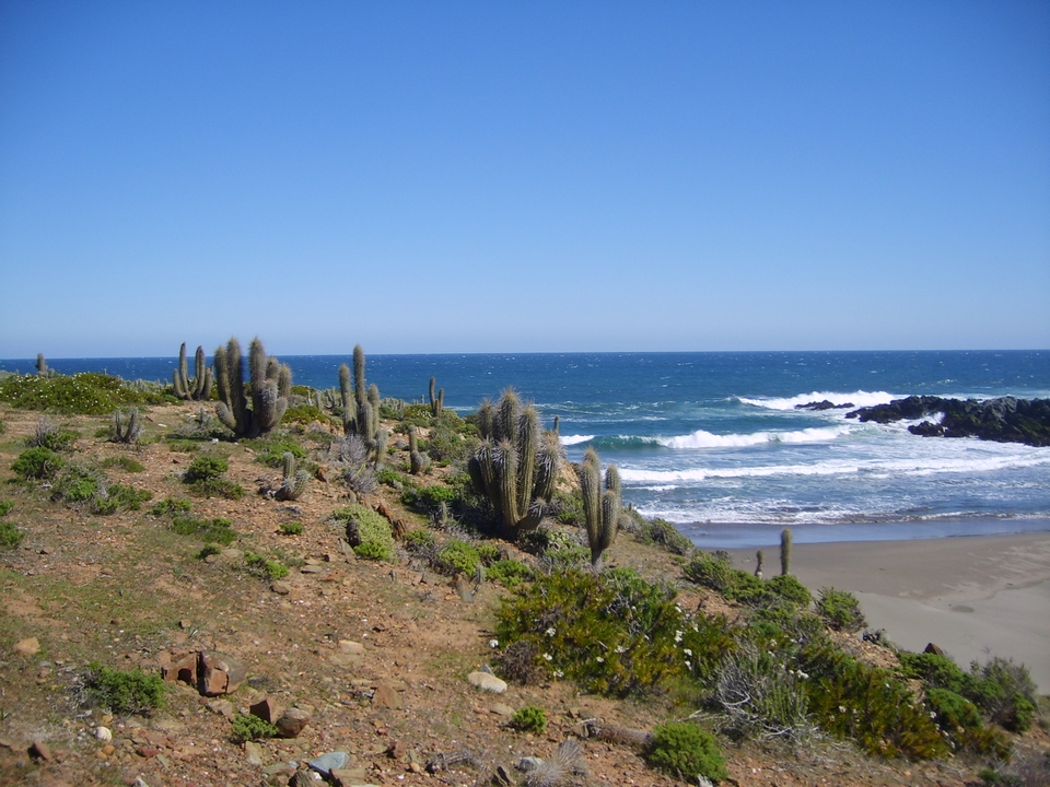 Huentelauquen