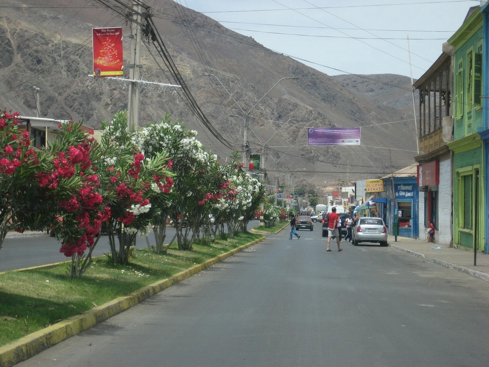 Taltal