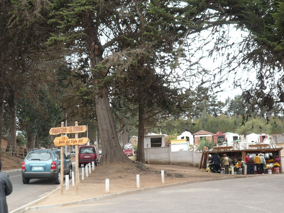 El Totoral