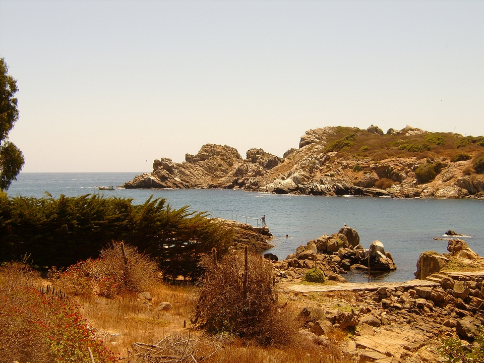Pichidangui