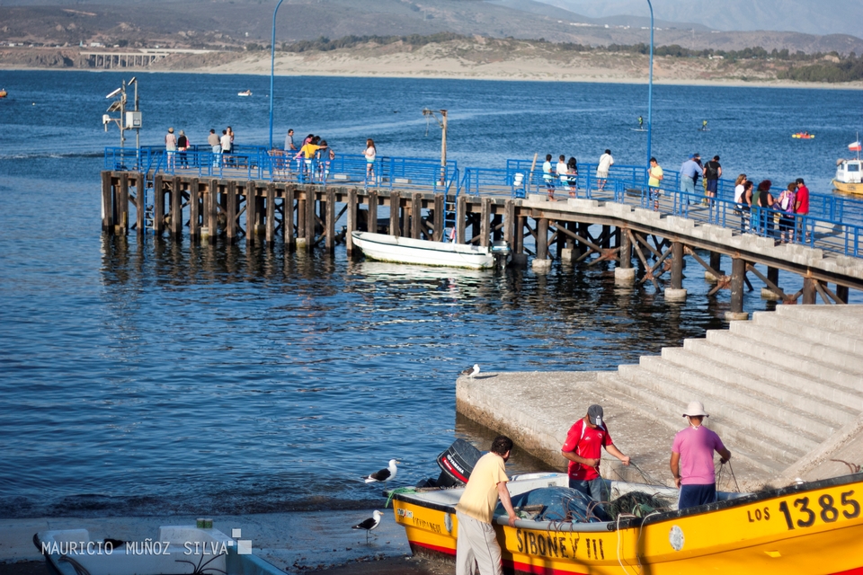 Pichidangui
