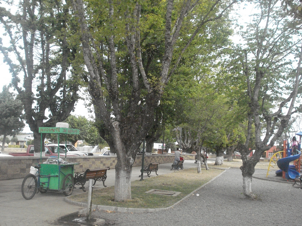 Cholchol
