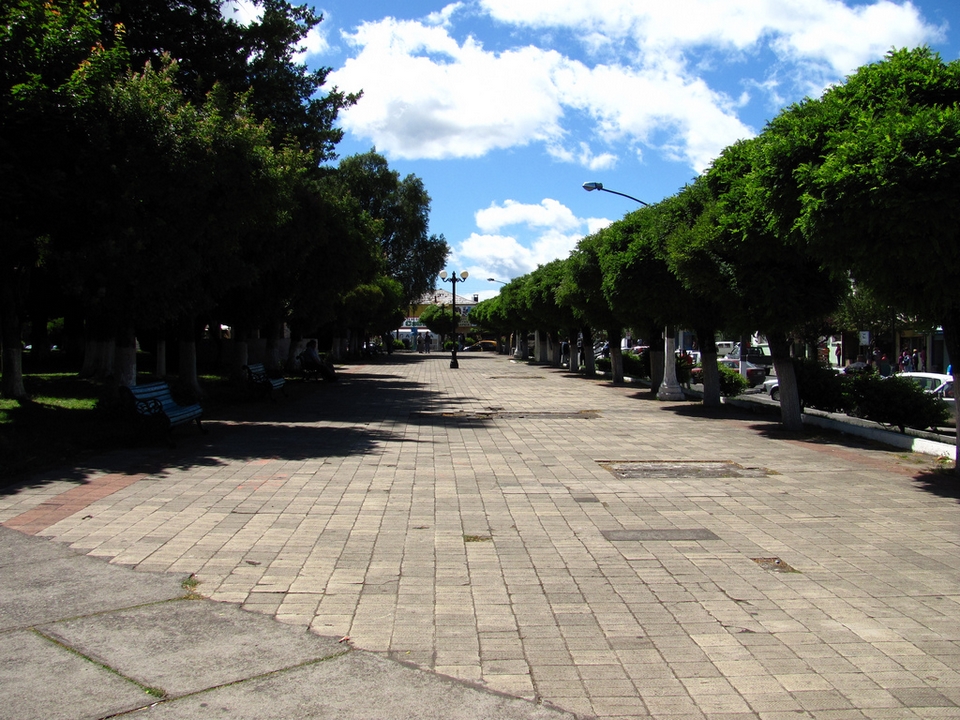 Curacautin Y Lonquimay