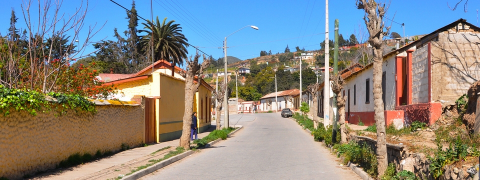 Algarrobito