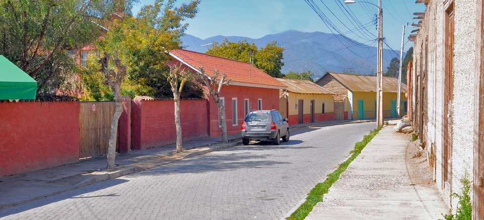 Algarrobito