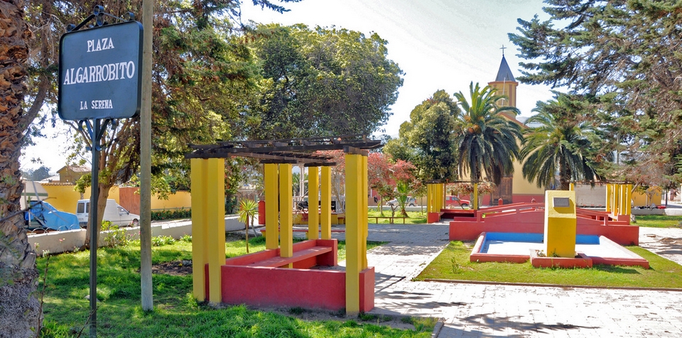 Algarrobito