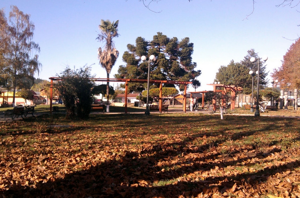 Galvarino