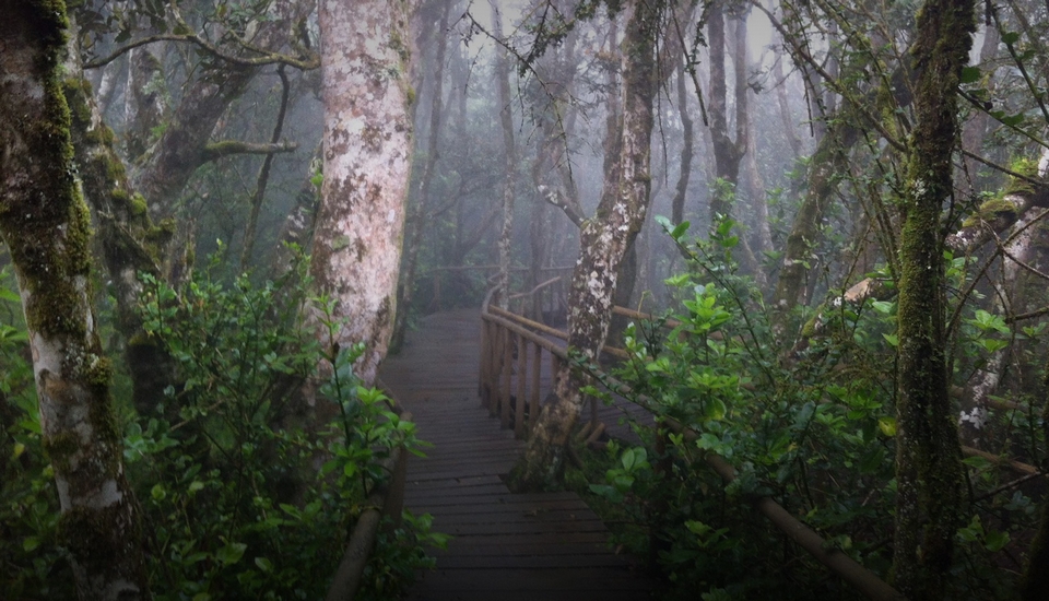 Parque Nacional Bosque De Fray Jorge