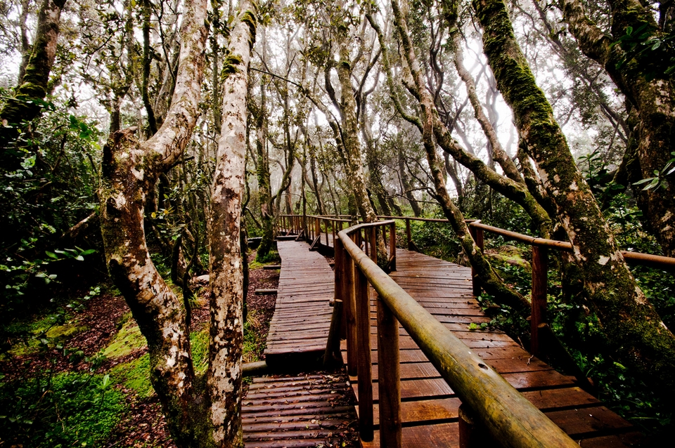 Parque Nacional Bosque De Fray Jorge
